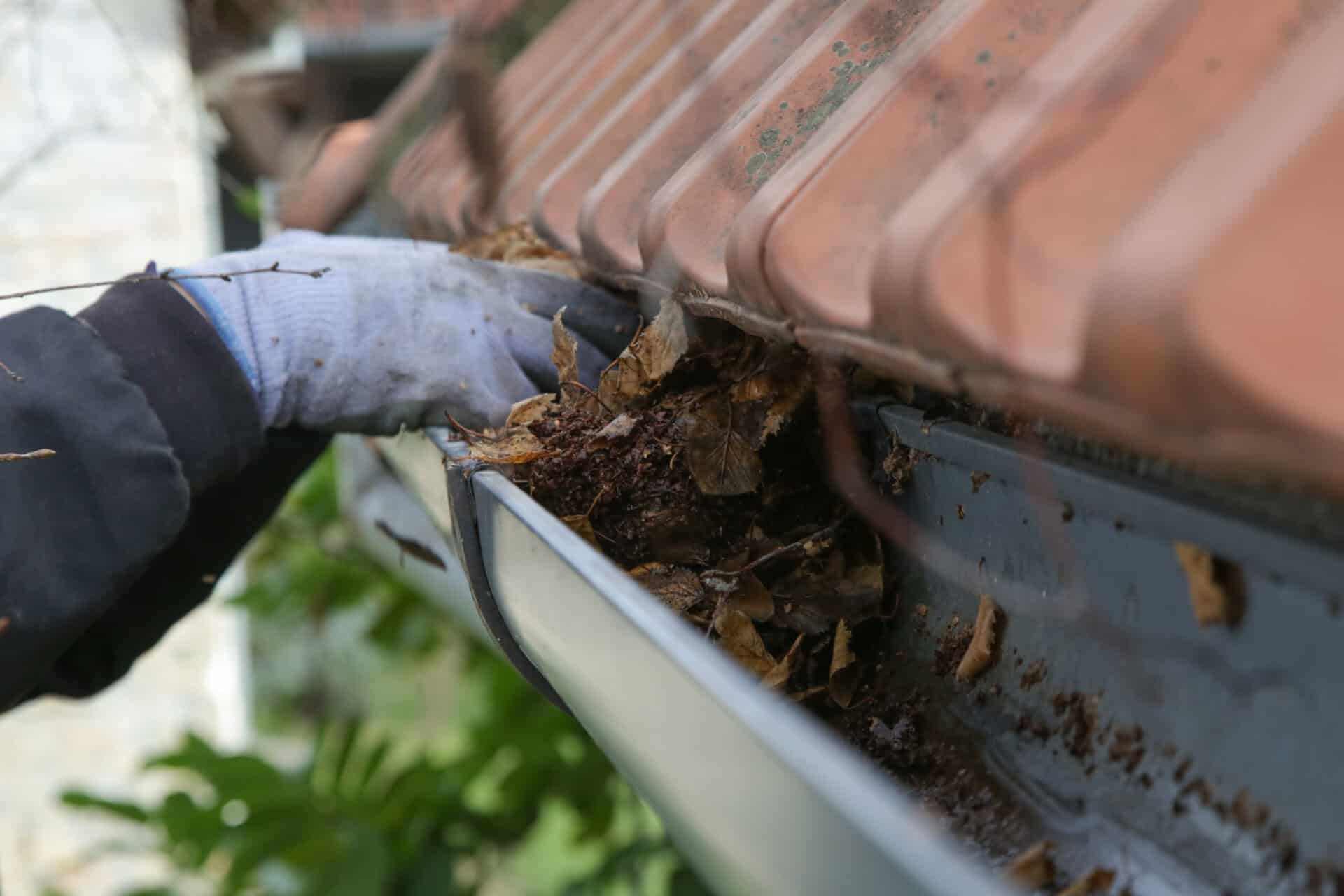 Blocked Gutter
